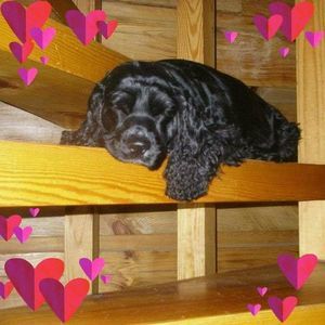 Meet your Posher, Mechele